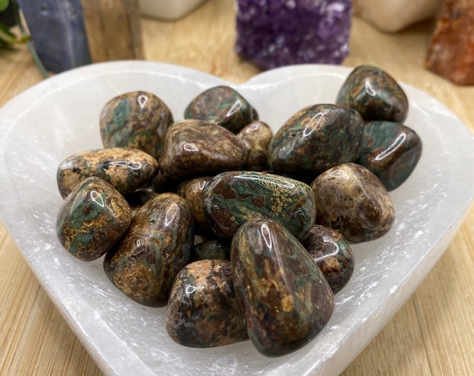 Tumbled Green Leopard Skin Jasper stones crystal SME24