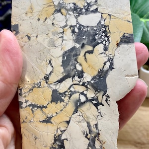 Maligano Jasper slice slab crystal MJAS1