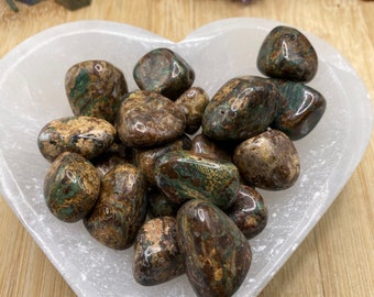 Polished Leopard Skin Jasper Gemstone on Dark Stock Image - Image of