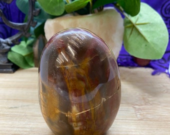 Petrified Wood free form altar stone polished PET4 CASE 5