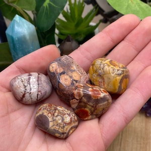 Tumbled Birds Eye Rhyolite from Mexico Stone with Gift Bag and Note