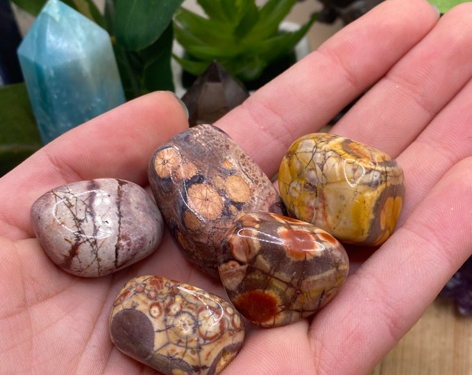 Tumbled Birds Eye Rhyolite from Mexico Stone with Gift Bag and Note