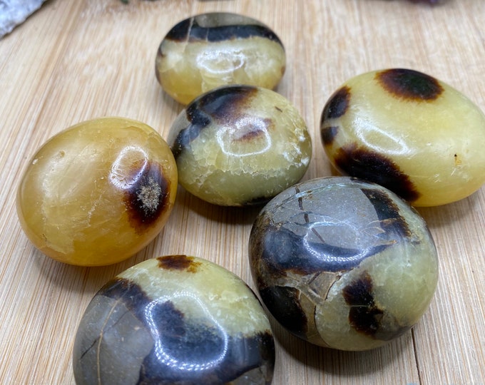 Tumbled Septarian Pebbles SME