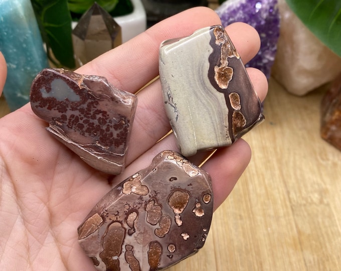 Picture Jasper Slices