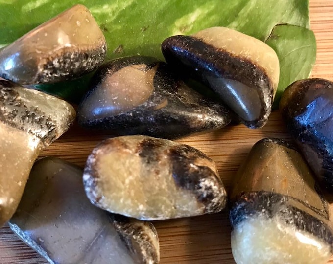 Tumbled Septarian Stone with Gift Bag and Note SME24