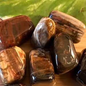 Tumbled Petrified Wood  Stone with Gift Bag and Note