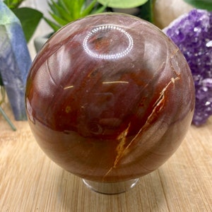 Petrified Wood Sphere Crystal PETS10 SME
