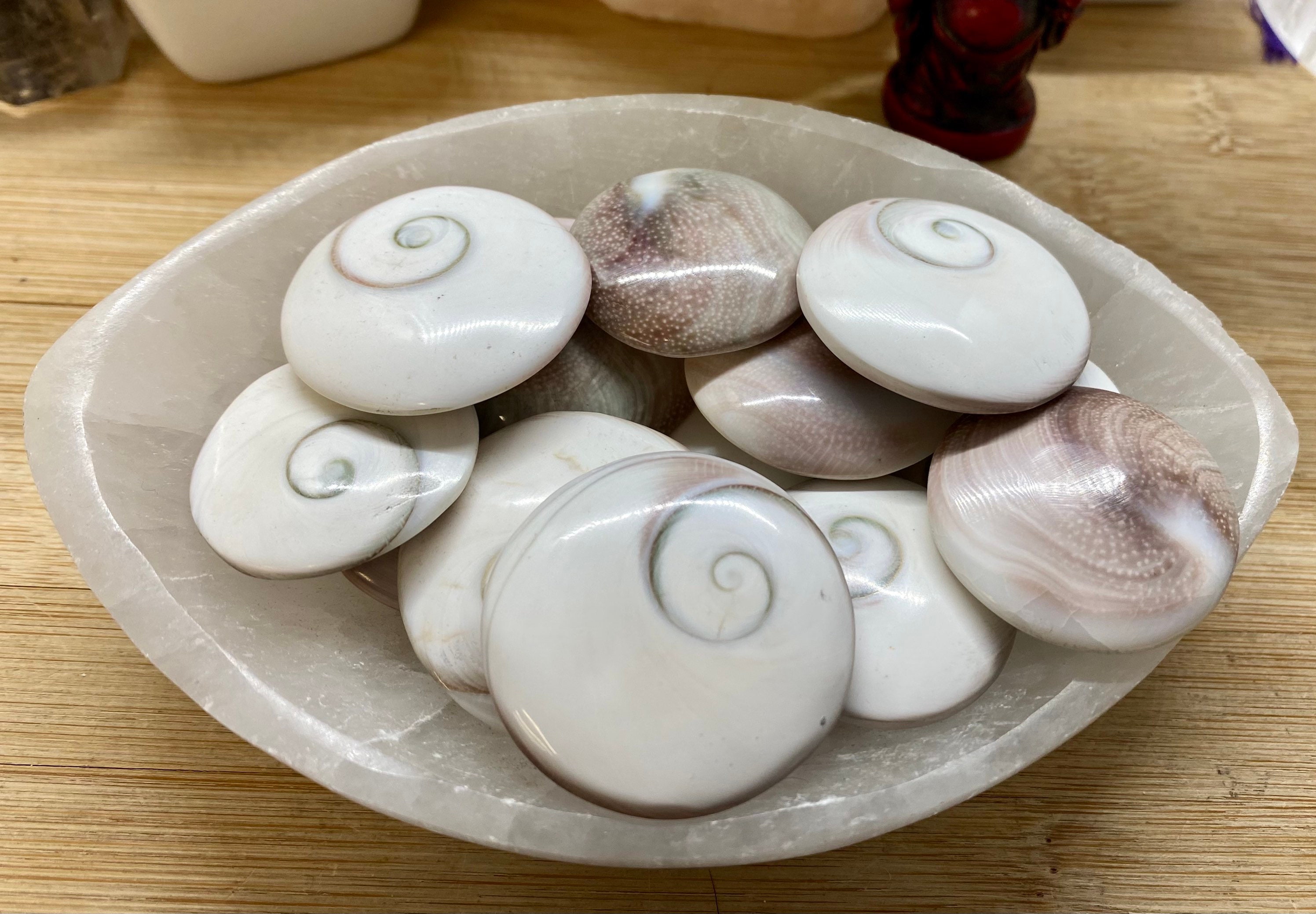 Round Shivas Eye shell seashell crystal lord shiva