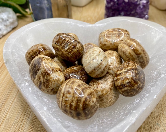 Tumbled Aragonite Stones Set with Gift Bag