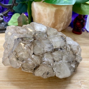 Elestial Smoky Quartz point cluster geode crystal. ELQ1