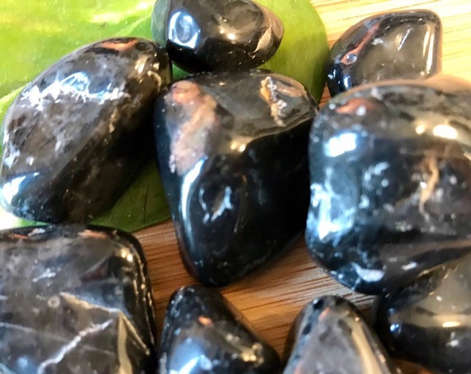 Tumbled Black Onyx Stone with Gift Bag and Note