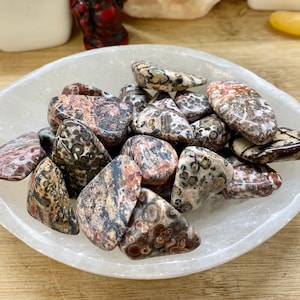 Tumbled Leopard Skin Jasper stones crystal