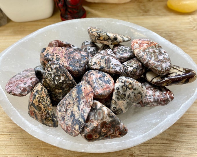 Tumbled Leopard Skin Jasper stones crystal