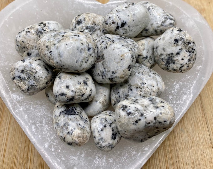 Tumbled Dalmatian Jasper Stones Set with Gift Bag and Note