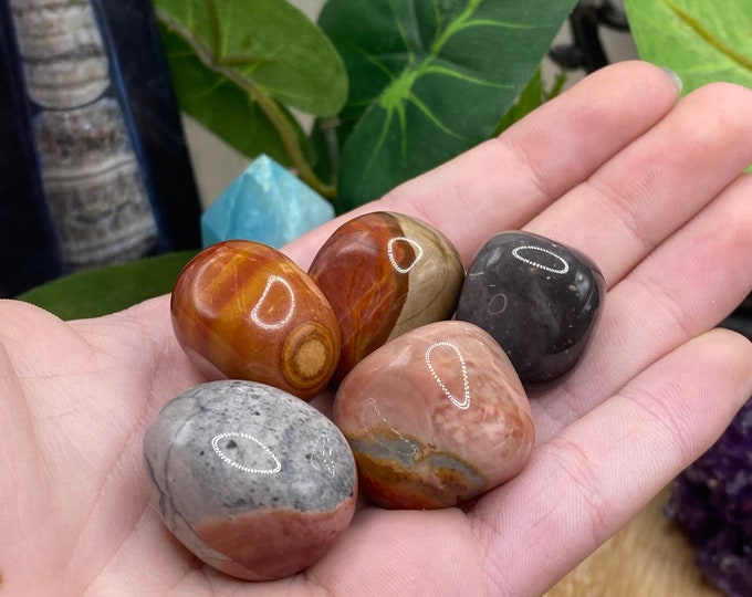 Tumbled Polychrome Jasper Stones Set with Gift Bag and Note