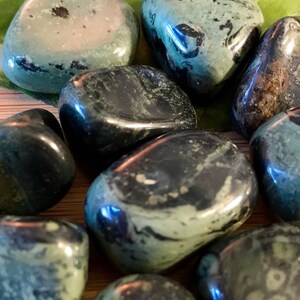 Tumbled Kambaba Crocodile Jasper Stone with Gift Bag and Note