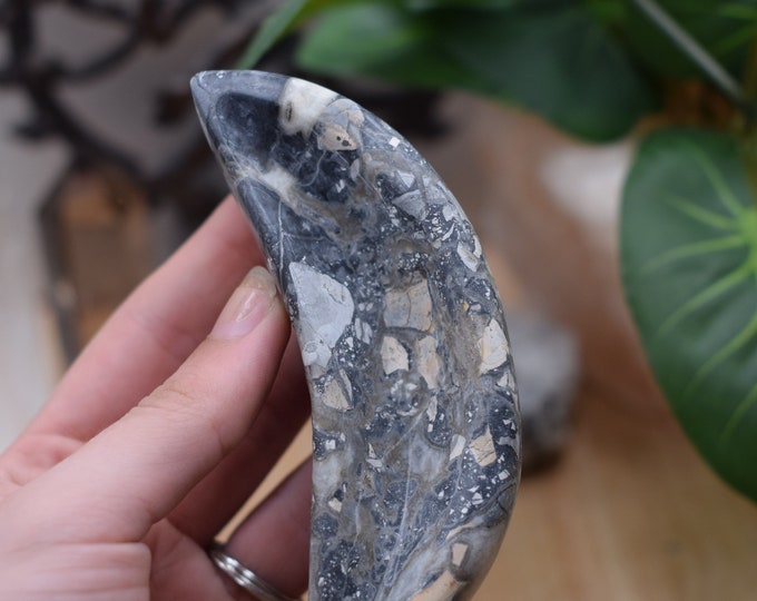 Maligano Jasper Crescent Moon Dish MMJCB3 Flat 5