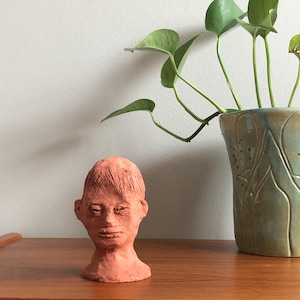 May include: A terracotta-colored clay sculpture of a human head with textured hair and facial features. The sculpture is positioned next to a light green glazed ceramic vase containing a green leafy plant with several stems.