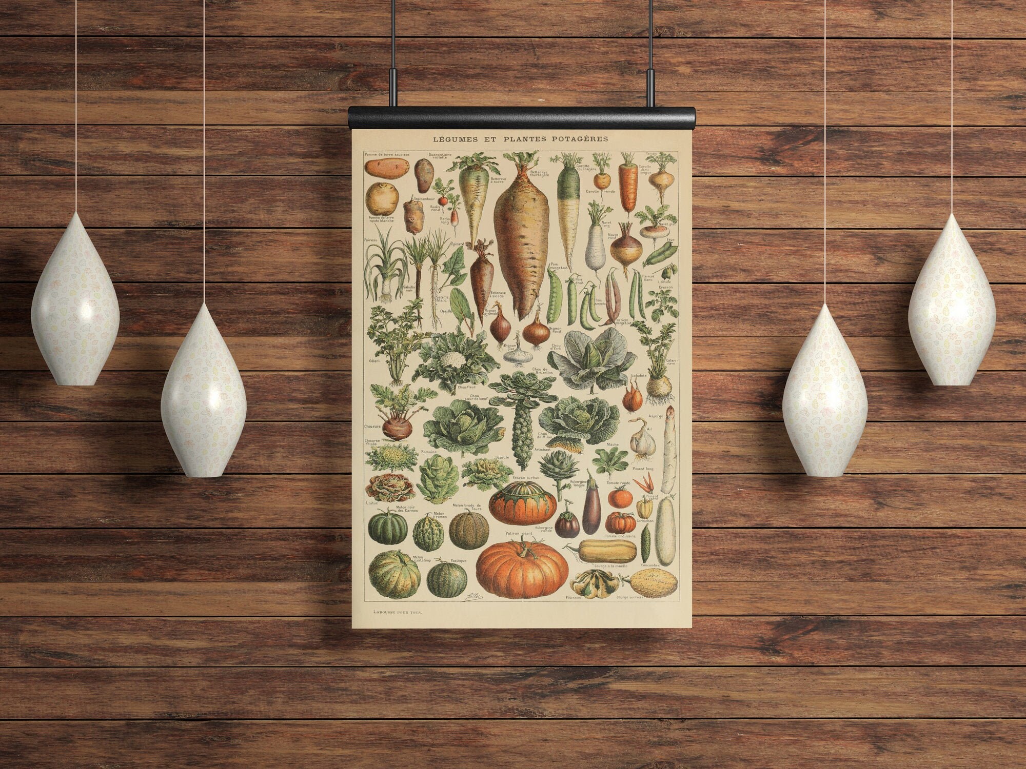 1909 Collection Of Adolphe Millot Vintage Legumes Etsy