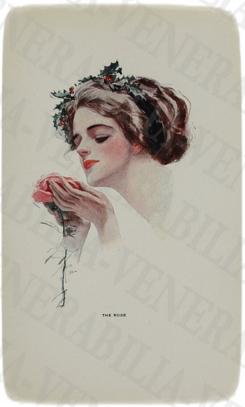 Download 1912 Collection of 32 Harrison Fisher Vintage Illustrations | Etsy
