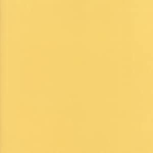 May include: A solid, pale yellow background with a subtle vertical texture. The color is a soft, warm tone, reminiscent of butter or light sunshine. The image is evenly lit, with no visible shadows or variations in color.