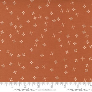 MODA Slow Stroll by Fancy That Designs No. 45546 13 Pumpkin. Flowers on Orange Background. 115cm / 44 inch Wide Cotton Fabric. Moda Metreage