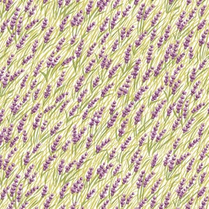 Tissu Liberty, Carte postale des Highlands, ORCHIDÉES DES MARAIS. Tissu en coton italien Lasenby pour projets de courtepointe et de couture LF01667366A