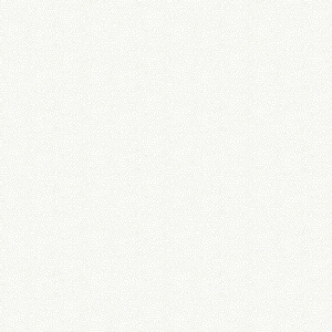 Puede incluir: Un fondo blanco con un patrón sutil y uniformemente distribuido de pequeños puntos grises.