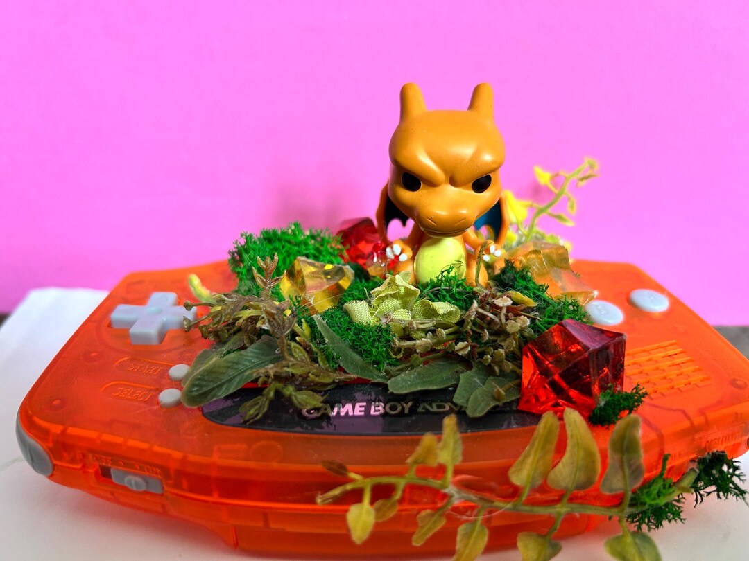 Charizard Gameboy Advanced Terrarium - Etsy