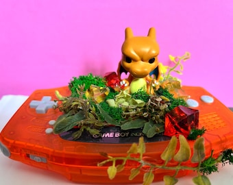 Charizard Gameboy advanced terrarium