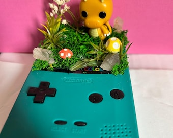 Dragonite Gameboy advanced terrarium