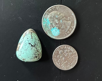 Black Hills Turquoise