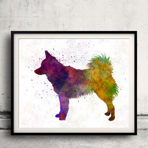 Schipperke in watercolor 8x10 in. to 12x16 in. Fine Art Print Glicee Poster Decor Home Watercolor Illustration - SKU 1196