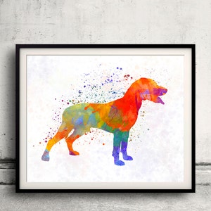 Save Valley Scenthound 01 in watercolor - Fine Art Print Poster Decor Home Watercolor Illustration Dog - SKU 2232
