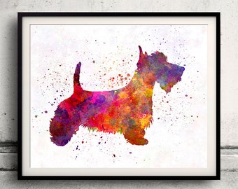 Scottish Terrier 01 in Aquarell - Fine Art Print Poster Dekor Home Aquarell Illustration Hund - SKU 2022