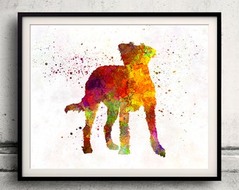 Kromfohrlander 01 in watercolor - Fine Art Print Poster Decor Home Watercolor Illustration Dog - SKU 2015