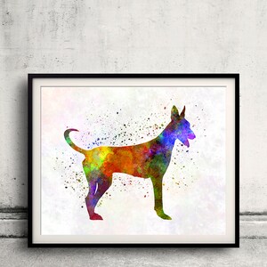 Canarian Warren Hound 01 in watercolor - Fine Art Print Poster Decor Home Watercolor Illustration Dog - SKU 2281