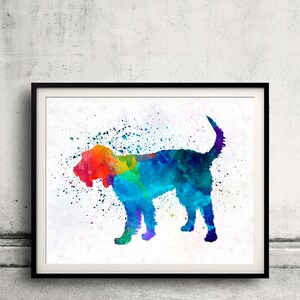 Griffon Nivernais 01 in watercolor - Fine Art Print Poster Decor Home Watercolor Illustration Dog - SKU 2292