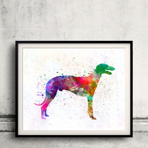 Greyhound 01 in watercolor - Fine Art Print Poster Decor Home Watercolor Illustration Dog - SKU 2291