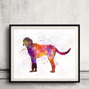 Billy 01 in watercolor - Fine Art Print Poster Decor Home Watercolor Illustration Dog - SKU 2268