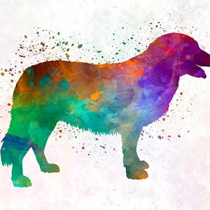 Puede incluir: Una pintura de acuarela de un perro en un arco&iacute;ris de colores. El perro est&aacute; de pie sobre un fondo blanco con salpicaduras de pintura de colores.