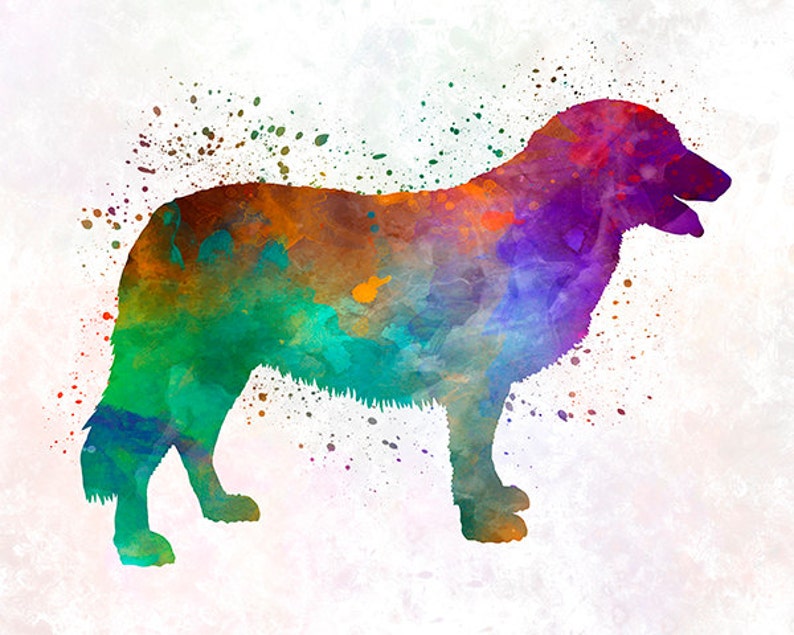 Puede incluir: Una pintura de acuarela de un perro en un arco&iacute;ris de colores. El perro est&aacute; de pie sobre un fondo blanco con salpicaduras de pintura de colores.