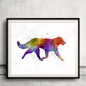 Kuvasz in watercolor 8x10 in. to 12x16 in. Fine Art Print Glicee Poster Decor Home Watercolor Illustration - SKU 1146