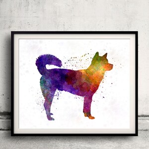 Kishu in watercolor 8x10 in. to 12x16 in. Fine Art Print Glicee Poster Decor Home Watercolor Illustration - SKU 1145