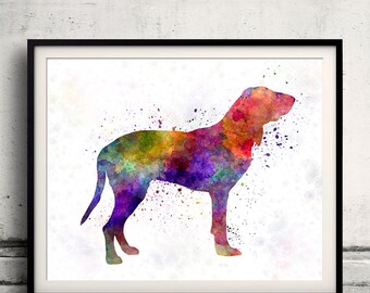 Gascon Saintongeois 01 in watercolor 8x10 in. to 12x16 in. Fine Art Print Glicee Poster Decor Home Watercolor Illustration - SKU 1088