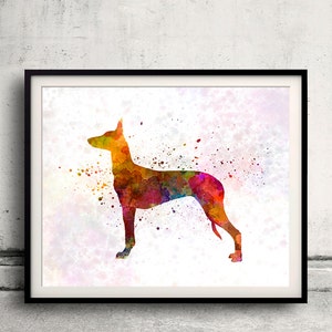 Pharaoh Hound 01 in watercolor - Fine Art Print Poster Decor Home Watercolor Illustration Dog - SKU 1642