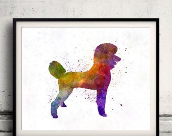 Poodle 01 in watercolor 8x10 in. to 12x16 in. Fine Art Print Glicee Poster Decor Home Watercolor Illustration - SKU 1171