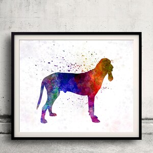 Ariege Hound in watercolor 8x10 in. to 12x16 in. Fine Art Print Glicee Poster Decor Home Watercolor Illustration - SKU 1219