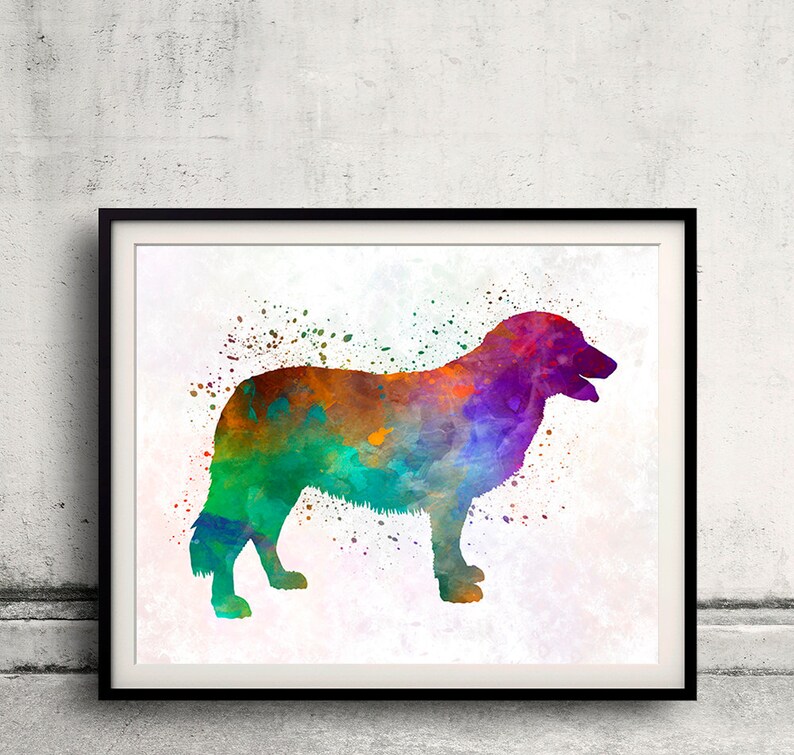 Puede incluir: Una pintura de acuarela de un perro en un arco&iacute;ris de colores. El perro est&aacute; de pie sobre un fondo blanco con salpicaduras de pintura.