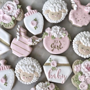 Baby Girl Baby Shower Floral Dozen